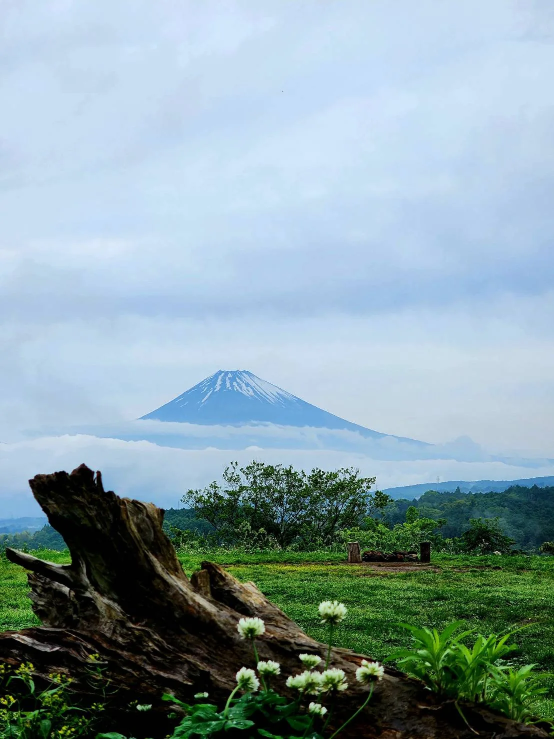 02 優秀賞① きゃんぷぬこ t 4