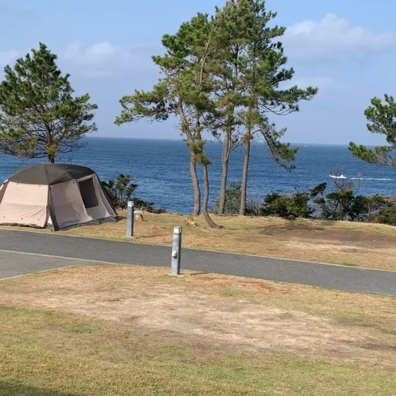 screenshot 2025 12 16 at 16.53.09 (2)